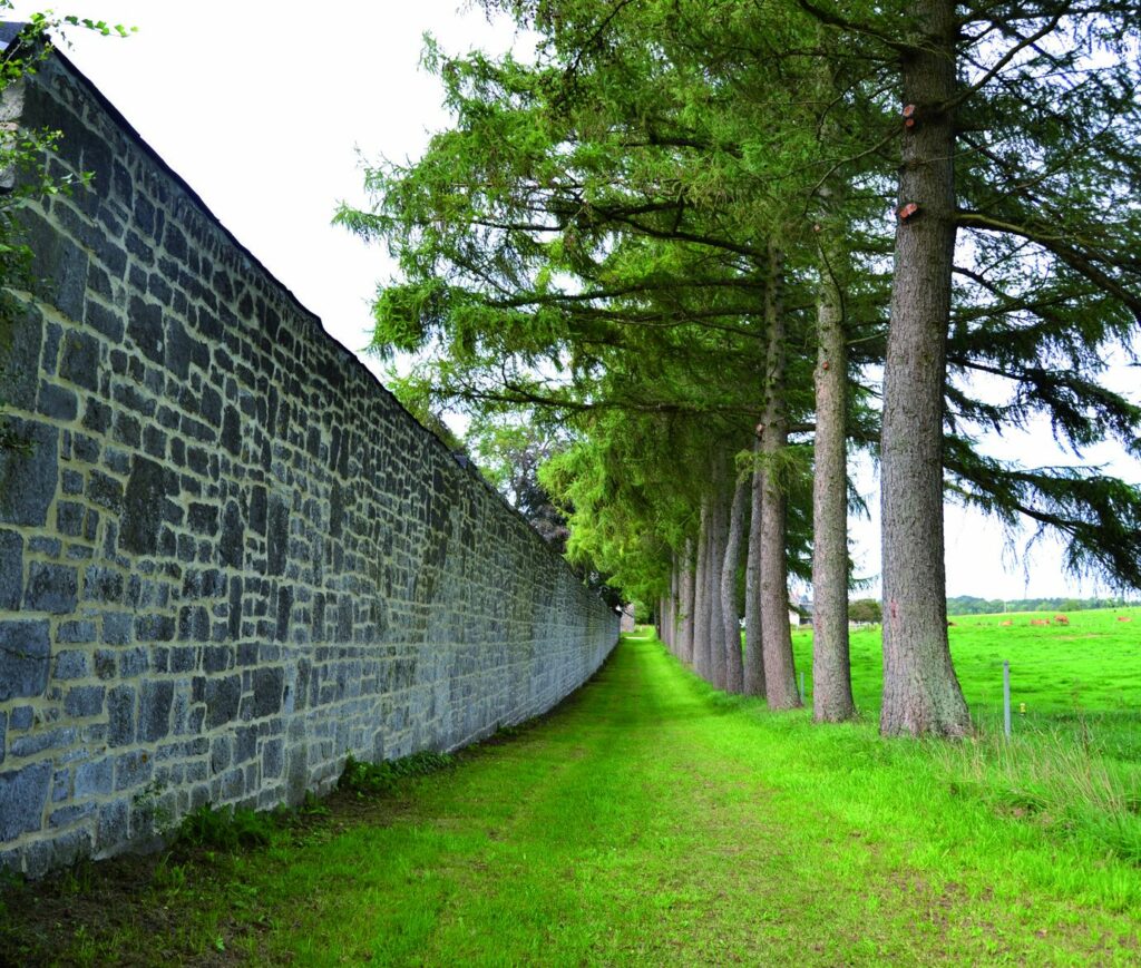 Le long mur d’enceinte et son allée d’arbres.