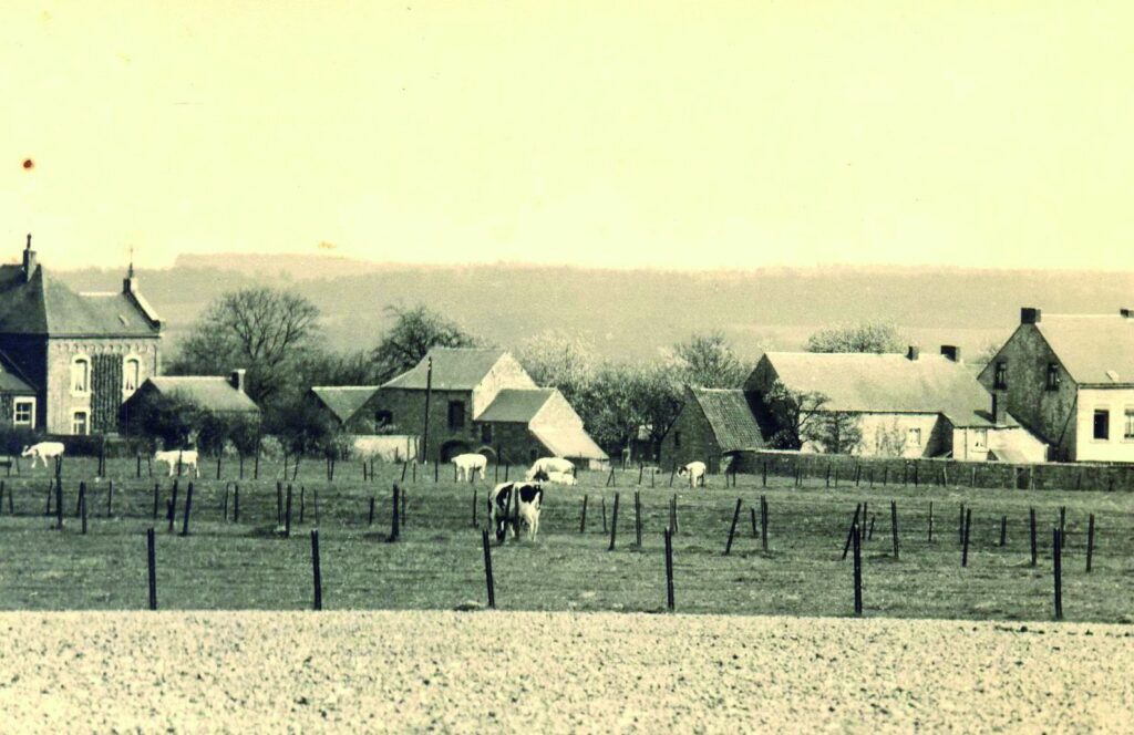 Vue prise en 1940 ; on reconnaît l’école sur la gauche. Collection F. Dewez.